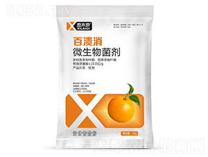 ΢�������-�ٝ���-ϲ����