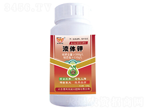 Һ�w�-�������