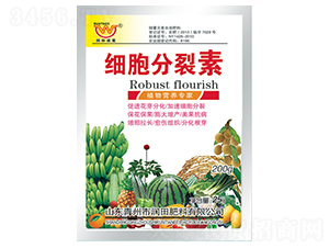 ���b��(x��)��������-������� 