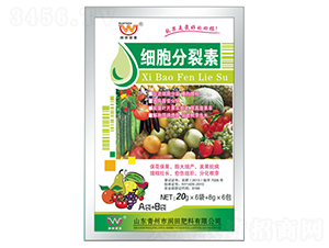 ��(x��)��������A+B-������� 