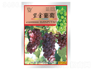 �Ͻ�����-�������