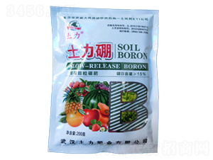 ������-�����ʘI(y��)