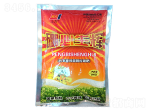 ���¾�ገA�w�����-������x-�����ʘI(y��)