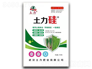 ������-�����ʘI(y��)