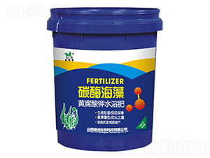 ̼ø����-�r(n��ng)˼��-�G��