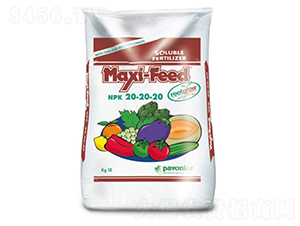 ���⡤�~ϲ-����