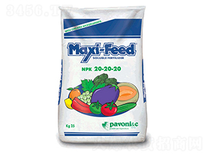 ���⡤�~��-����