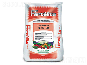 ���⡤�Ƶ�-����