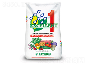 ���⡤����-����