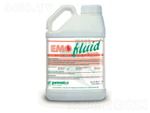 ���⡤����-����