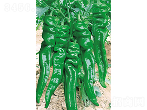 �����ݽz��-�����N��-�V�݁���