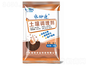 �����{�턩-�S�ؿ�-�S���r��