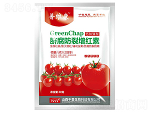 �}�ӏ�(qi��ng)��Ě���������t��-�վS��-ǧ������