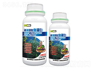 ��������~����-�ڵÌ�