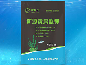 �VԴ�S�����-�Ŀ���