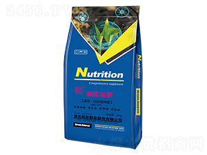 ���@����-����ʘI(y��)