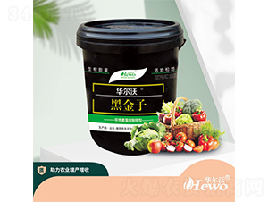 �ڽ���-�A����