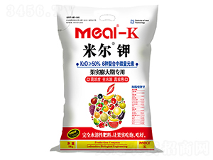 �נ��-������