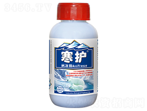 ������-���o-������