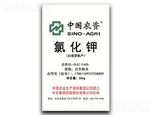 �Ȼ��-���r(n��ng)���F(tu��n)