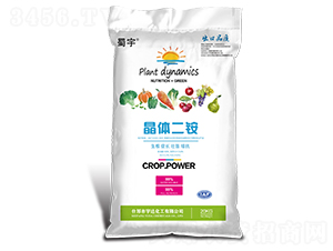 ���w���@-����-���_(d��)����