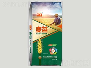 �������-����-�t�׻���