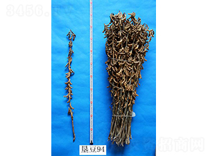 ����94-�󶹷N��-���S�N�I(y��)