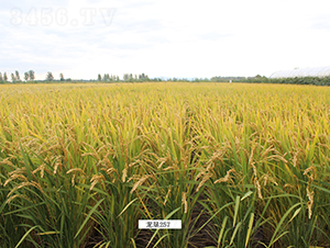 ����257-ˮ���N��-���S�N�I(y��)