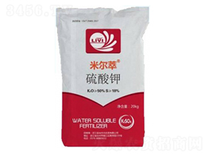 �נ��͡������-�_���r(n��ng)�Y