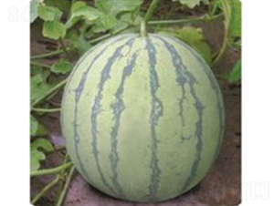 ���8424-���ϷN��-�_(t��i)���r(n��ng)�Y