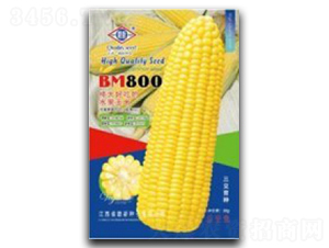 BM800-ˮ�����׷N��-�_(t��i)���r(n��ng)�Y