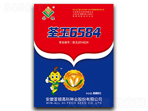 ����6584-���׷N��-���y�߿�