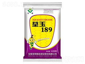 ����189-���׷N��-���y�߿�