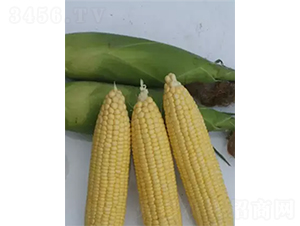 ������818-���׷N��-�r���N��