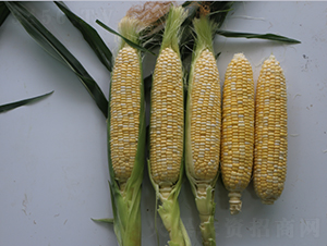 ������148-���׷N��-�r���N��