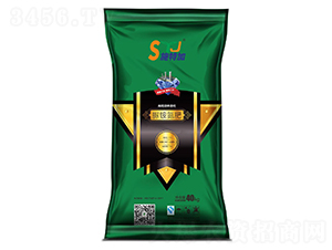 ���@����-ʩ�ؼ�-������