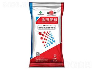 �������23-12-6-�@��-������