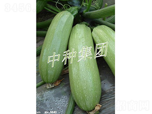 BIJOU-�����J�N��-�зN���F