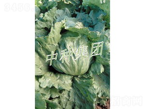 Ī����-���˷N��-�зN���F(tu��n)