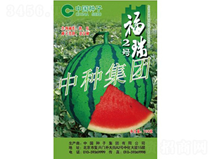 ����2̖(h��o)-���ϷN��-�зN���F(tu��n)