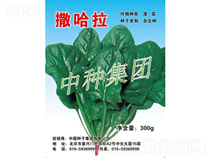 ������-���˷N��-�зN���F(tu��n)