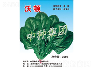 ���D-���˷N��-�зN���F(tu��n)