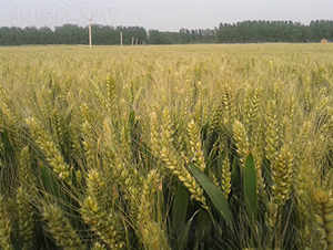 ����6̖(h��o)-С���N��-�зN���F(tu��n)