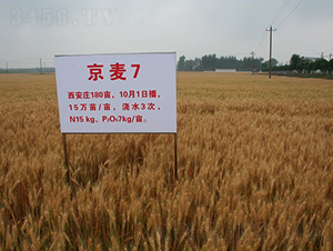 ����7̖(h��o)-С���N��-�зN���F(tu��n)