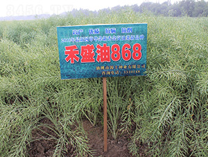 ��ʢ��868-�Ͳ˷N��-���r(n��ng)�l(f��)