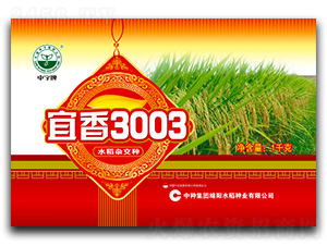 ����3003-ˮ���N��-�зN���F