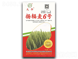 �P(y��ng)ݗ��6̖(h��o)-С���N��-���A�N�I(y��)