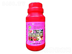 �t�����~���-�t��