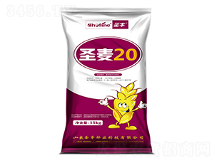 ʥ��20-С���N��-ʥ�S�N�I(y��)