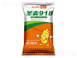 ʥ��918-С���N��-ʥ�S�N�I(y��)